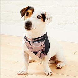 Sssniperwolf Essential Pet Bandanas Premium Merch Store