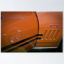 Holden HT GTS Monaro - State Champs Poster
