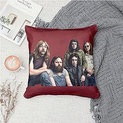 The Second Coming of Steely Dan Steely Dan Pillows