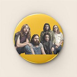 The Second Coming of Steely Dan Steely Dan Pins