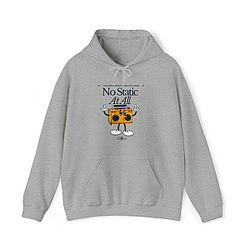 No Static At All DTNK2302 Steely Dan Hoodies