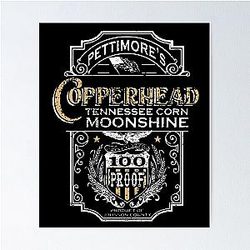 Steve Earle Inspired Copperhead Road  Poster