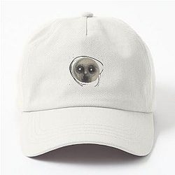 Steven wilson raven Dad Hat