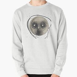 steven wilson raven   Pullover Sweatshirt