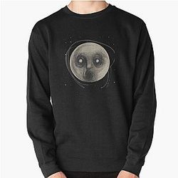 Steven wilson raven Pullover Sweatshirt