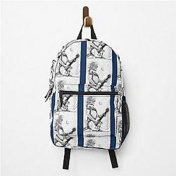 Steven Wilson    Backpack