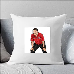 Steve Spagnuolo The Blitz Architect Steve Spagnuolo Pillows Cover