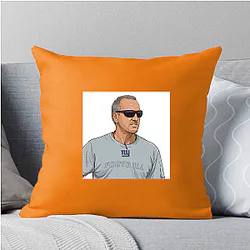 Steve Spagnuolo Shutdown Scheme Legend Steve Spagnuolo Pillows Cover
