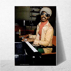 Stevie Wonder The World Is His Stage Stevie Wonder Posters