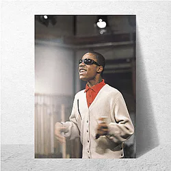 Stevie Wonder A True Masterpiece Stevie Wonder Posters