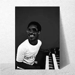 Stevie Wonder The King of Soul Stevie Wonder Posters