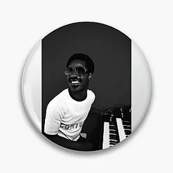 Stevie Wonder The King of Soul Stevie Wonder Pins