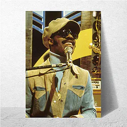 Stevie Wonder Beyond The Mic Stevie Wonder Posters