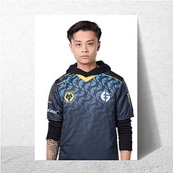 Stewie2K CS:GO Pro Aesthetic Stewie2 K Posters