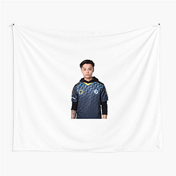 Stewie2K CS:GO Pro Aesthetic Stewie2 K Tapestries
