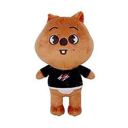 Stray Kids Plushie - Korean Group Plush Toys Decoration Toy Plushies