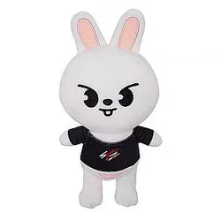Stray Kids Plushie - Korean Group Plush Toys Stray Kids Plushies