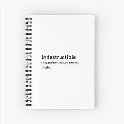 Stray Kids Notebooks - Han Jisung Comeback Concept Notebook