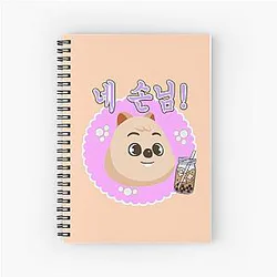 Stray Kids Notebooks - KPOP Logo Collection Notebook