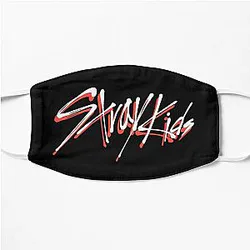 Stray Kids Face Masks - Kpop Stray Kids Flat Mask