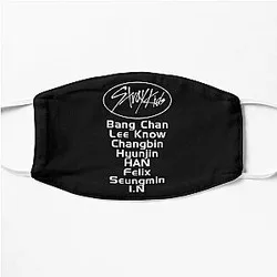 Stray Kids Face Masks - Kpop Stray Kids Members Flat Mask
