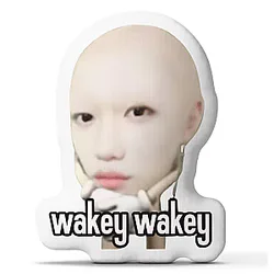 Wakey Wakey Meme Shaped DTNK2110 Stray Kids Pillows