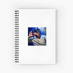 Styles P Line Styles P Notebook