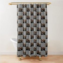 gerri and karolina succession  Shower Curtain