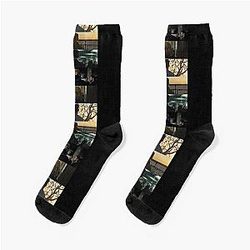 succession  Socks
