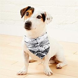 Suicideboys  Pet Bandanas Premium Merch Store