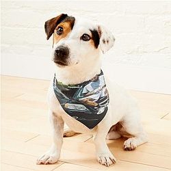 Suicideboys Pet Bandanas Premium Merch Store