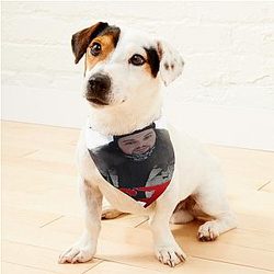 Ruby Such A Misfit Uicideboy Pet Bandanas Premium Merch Store