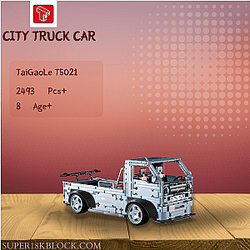 TaiGaoLe T5021 City Truck Car