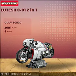 GULY 60520 LUTESII C-01 2 in 1