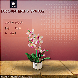 TuoMu T6005 Encountering Spring