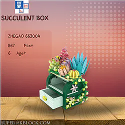 ZHEGAO 663004 Succulent Box