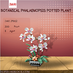 JAKI 29012 Botanical Phalaenopsis Potted Plant