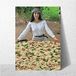 Surthycooks – Collector’s Recipe Mood Surthycooks Posters