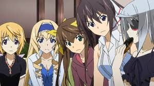 The Women of Infinite Stratos Who Is the Best Girl?