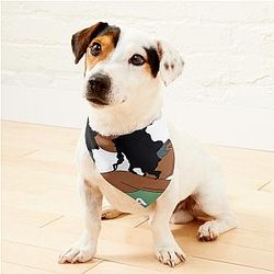 Sza Ctrl Album Pet Bandanas Premium Merch Store