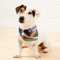 Love Sza Pet Bandanas Premium Merch Store