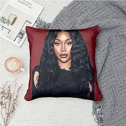 Softer Side Energy SZA Pillows