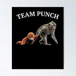 Team Orangutan Primate Wildlife Animals Poster