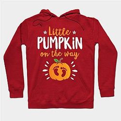 Little Pumpkin On The Way Funny Halloween Baby Shower Hoodie TP1701