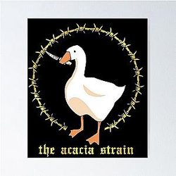 the acacia strain NEW Poster