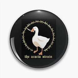 the acacia strain NEW Pin