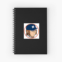 The Catcher in the Ballpark Aesthetic The Catcher In The Ballpark Notebook
