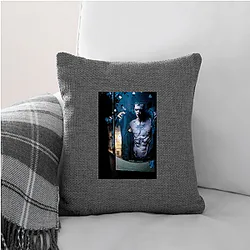 The Crow The World Is Our Revenge The Crow Pillows Cover