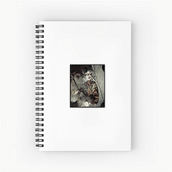 The Evil Dead Ash Williams's First Nightmare The Evil Dead Notebook