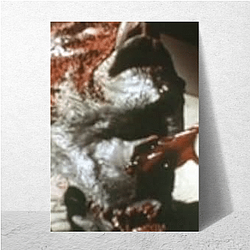 The Evil Dead Beyond The Cabin In The Woods The Evil Dead Posters